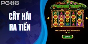 Cây Hái Ra Tiền - Trải Nghiệm Săn Quà Bất Tận Cho Thành Viên