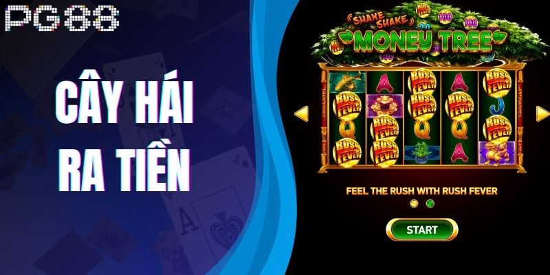 Cây Hái Ra Tiền - Trải Nghiệm Săn Quà Bất Tận Cho Thành Viên