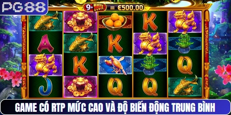 Game có RTP mức cao và độ biến động trung bình