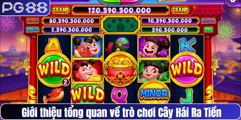 Giới thiệu tổng quan về trò chơi Cây Hái Ra Tiền