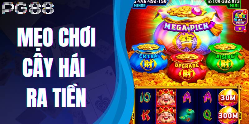 Tổng Hợp Mẹo Chơi Cây Hái Ra Tiền Hiệu Quả Tại PG88