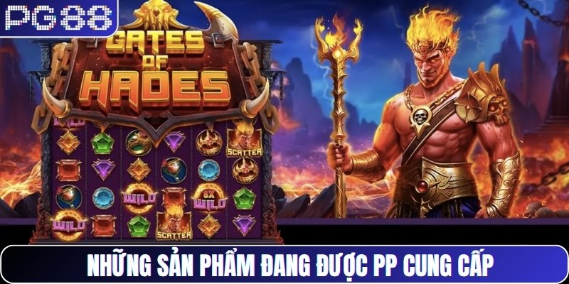 Những sản phẩm đang được PP cung cấp