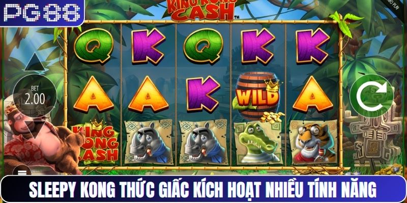 Sleepy Kong thức giấc kích hoạt nhiều tính năng