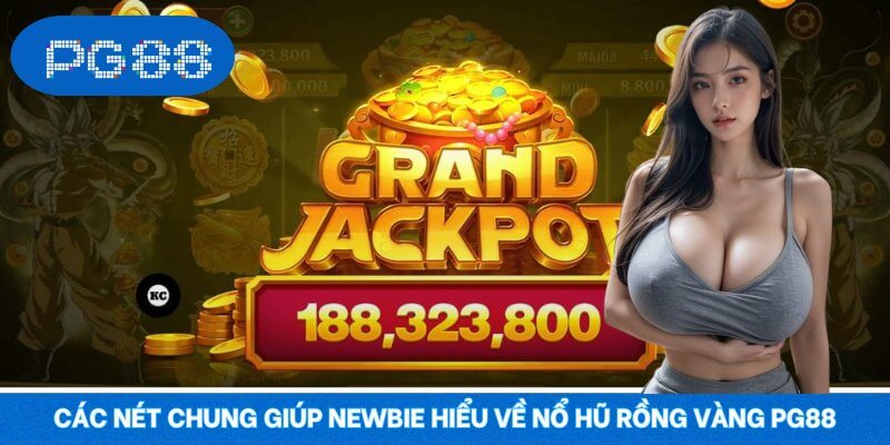 Các nét chung giúp newbie hiểu về Nổ Hũ Rồng Vàng PG88