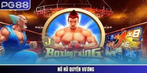 Quyền Vương PG88 – Võ Sĩ Hóa Thân, Thống Trị Đấu Trường