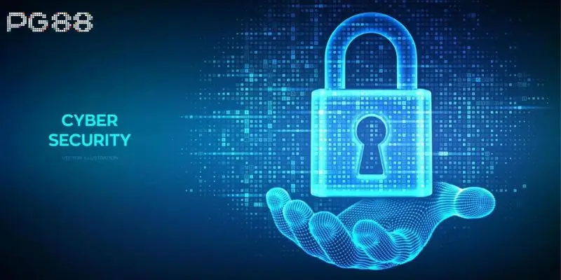 Quyền và trách nhiệm của người chơi trong chính sách